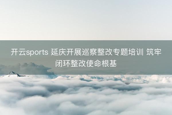 开云sports 延庆开展巡察整改专题培训 筑牢闭环整改使命根基