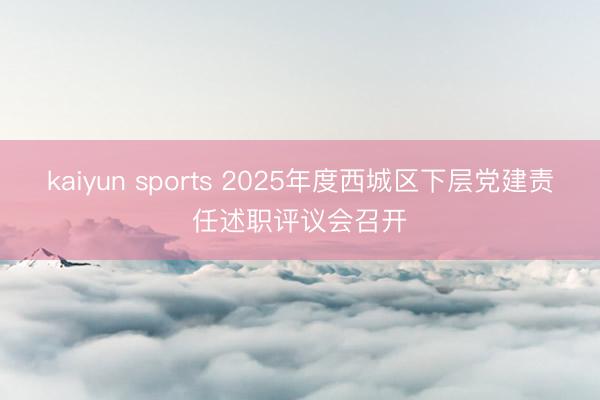 kaiyun sports 2025年度西城区下层党建责任述职评议会召开