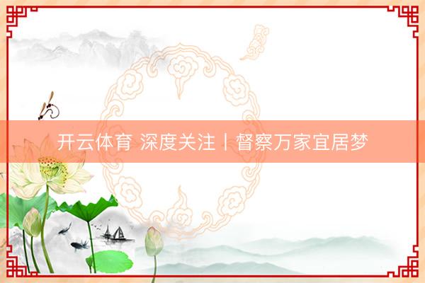 开云体育 深度关注丨督察万家宜居梦