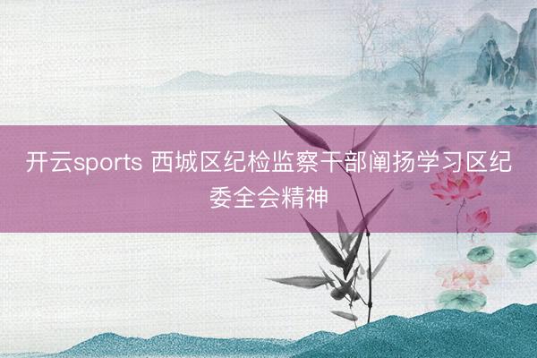 开云sports 西城区纪检监察干部阐扬学习区纪委全会精神