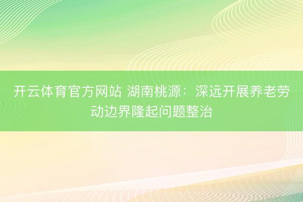 开云体育官方网站 湖南桃源:深远开展养老劳动边界隆起问题整治