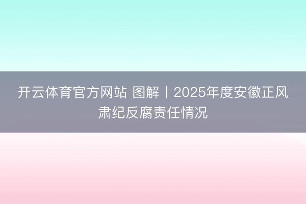开云体育官方网站 图解丨2025年度安徽正风肃纪反腐责任情况