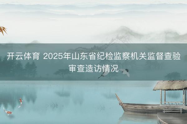 开云体育 2025年山东省纪检监察机关监督查验审查造访情况