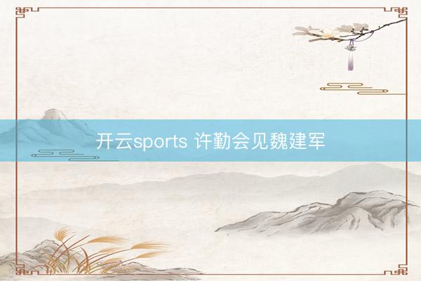 开云sports 许勤会见魏建军