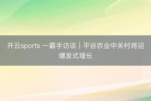开云sports 一霸手访谈|平谷农业中关村将迎爆发式增长