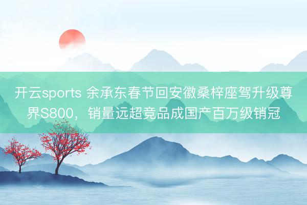 开云sports 余承东春节回安徽桑梓座驾升级尊界S800,销量远超竞品成国产百万级销冠