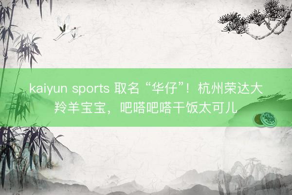 kaiyun sports 取名 “华仔”！杭州荣达大羚羊宝宝，吧嗒吧嗒干饭太可儿
