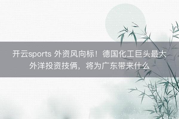 开云sports 外资风向标！德国化工巨头最大外洋投资技俩，将为广东带来什么