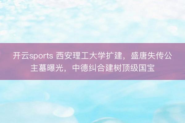 开云sports 西安理工大学扩建，盛唐失传公主墓曝光，中德纠合建树顶级国宝