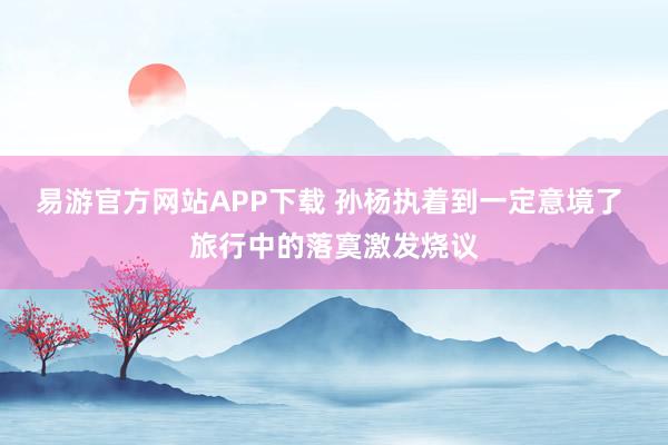 易游官方网站APP下载 孙杨执着到一定意境了 旅行中的落寞激发烧议