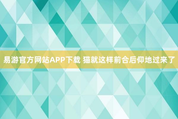 易游官方网站APP下载 猫就这样前合后仰地过来了