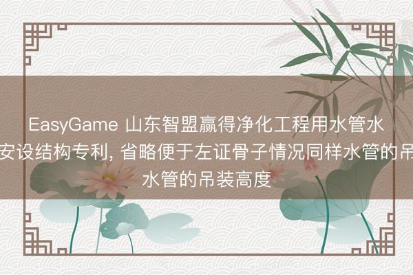 EasyGame 山东智盟赢得净化工程用水管水平支架安设结构专利, 省略便于左证骨子情况同样水管的吊装高度