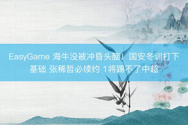 EasyGame 海牛没被冲昏头脑！国安冬训打下基础 张稀哲必续约 1将踢不了中超