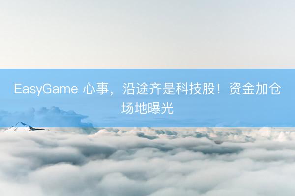 EasyGame 心事，沿途齐是科技股！资金加仓场地曝光