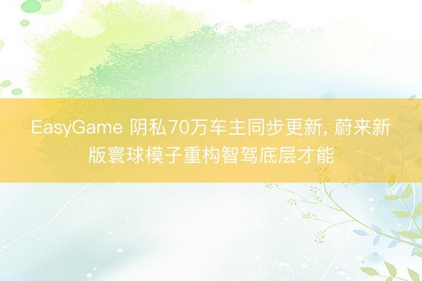 EasyGame 阴私70万车主同步更新, 蔚来新版寰球模子重构智驾底层才能
